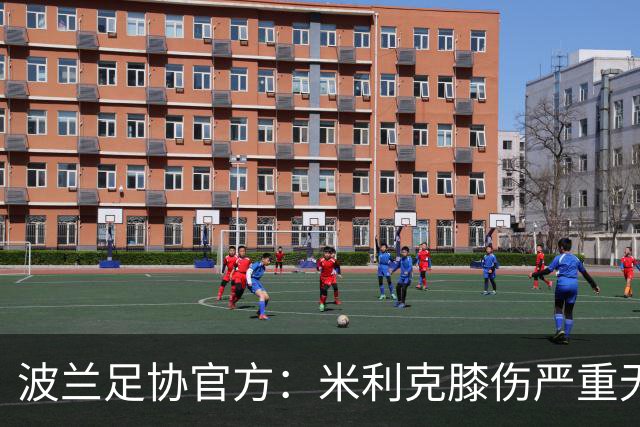 波兰足协官方：米利克膝伤严重无缘欧洲杯