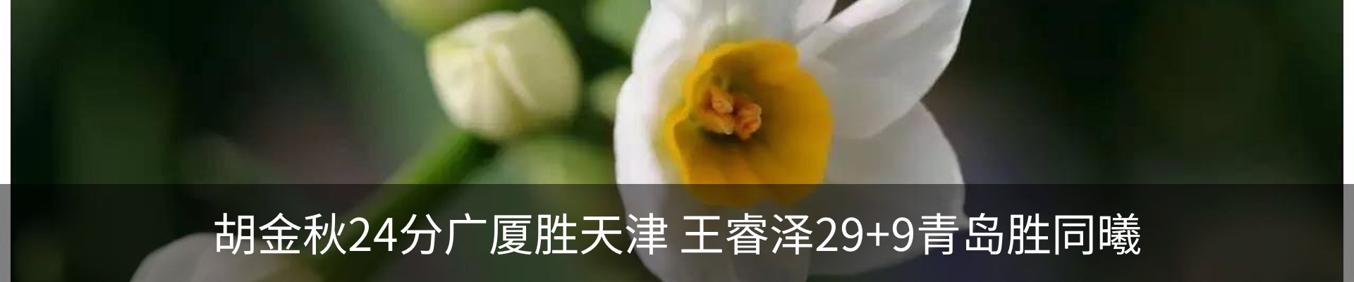 资讯动态