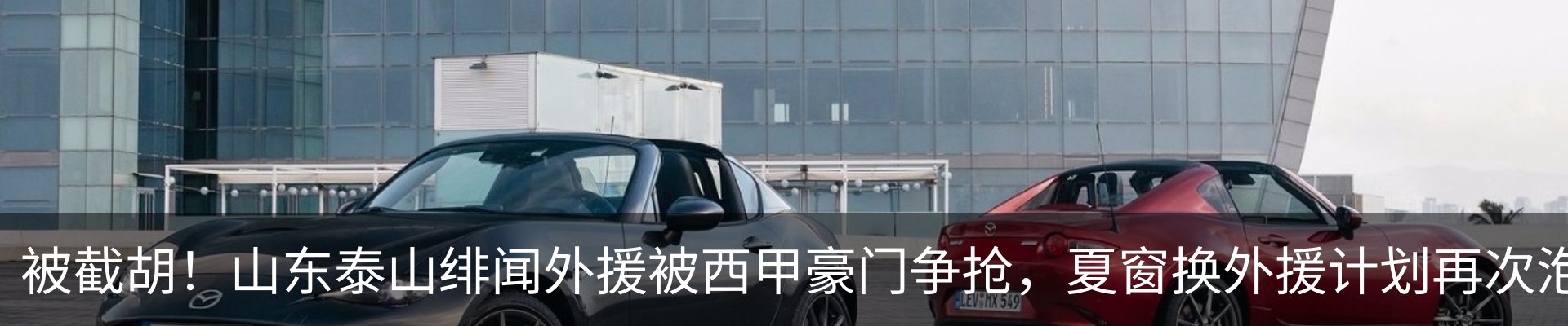 资讯动态